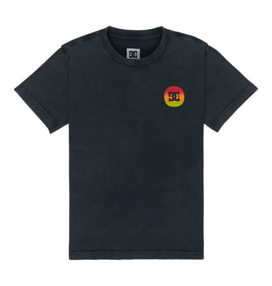 DC - SHAPE OR DESTROY YOUTH TEE - WASHED BLACK