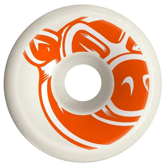 PIG - CONICAL - 53MM - 95A