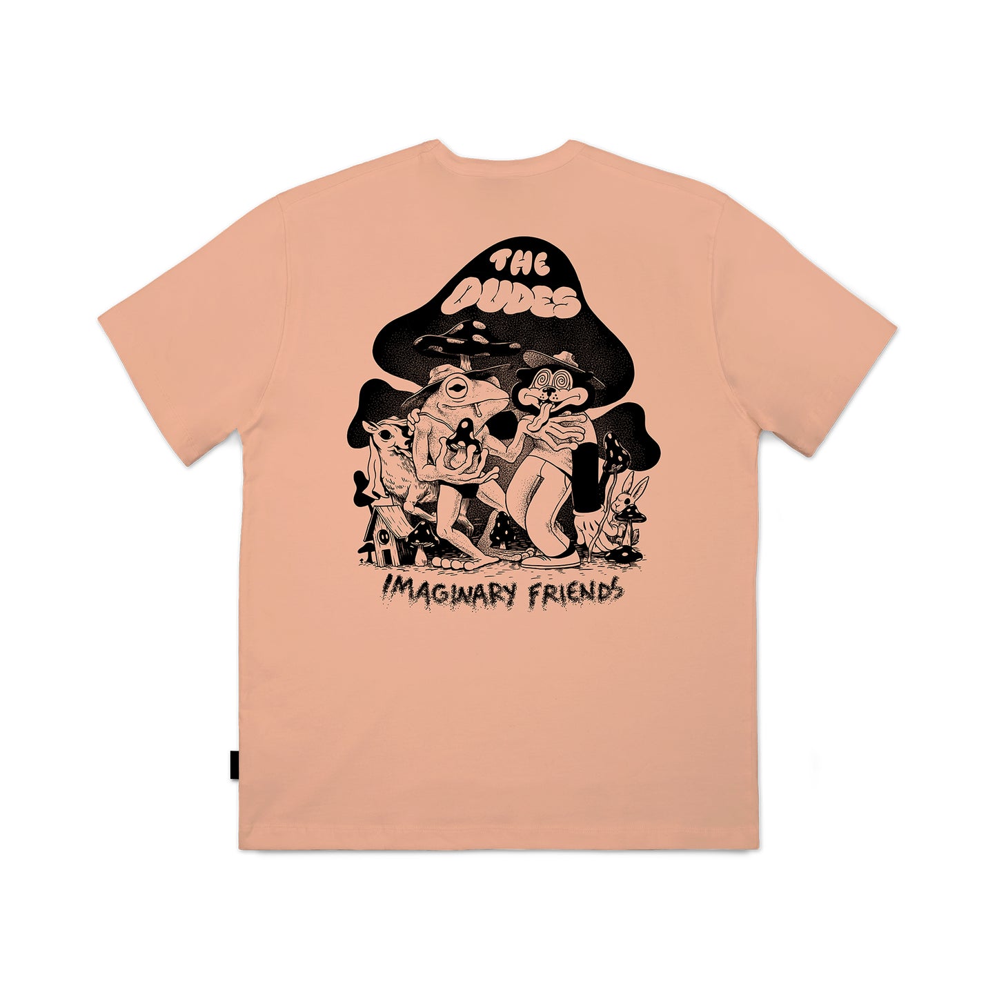 THE DUDES - IMAGINARY FRIENDS - PRAIRIE SUNSET