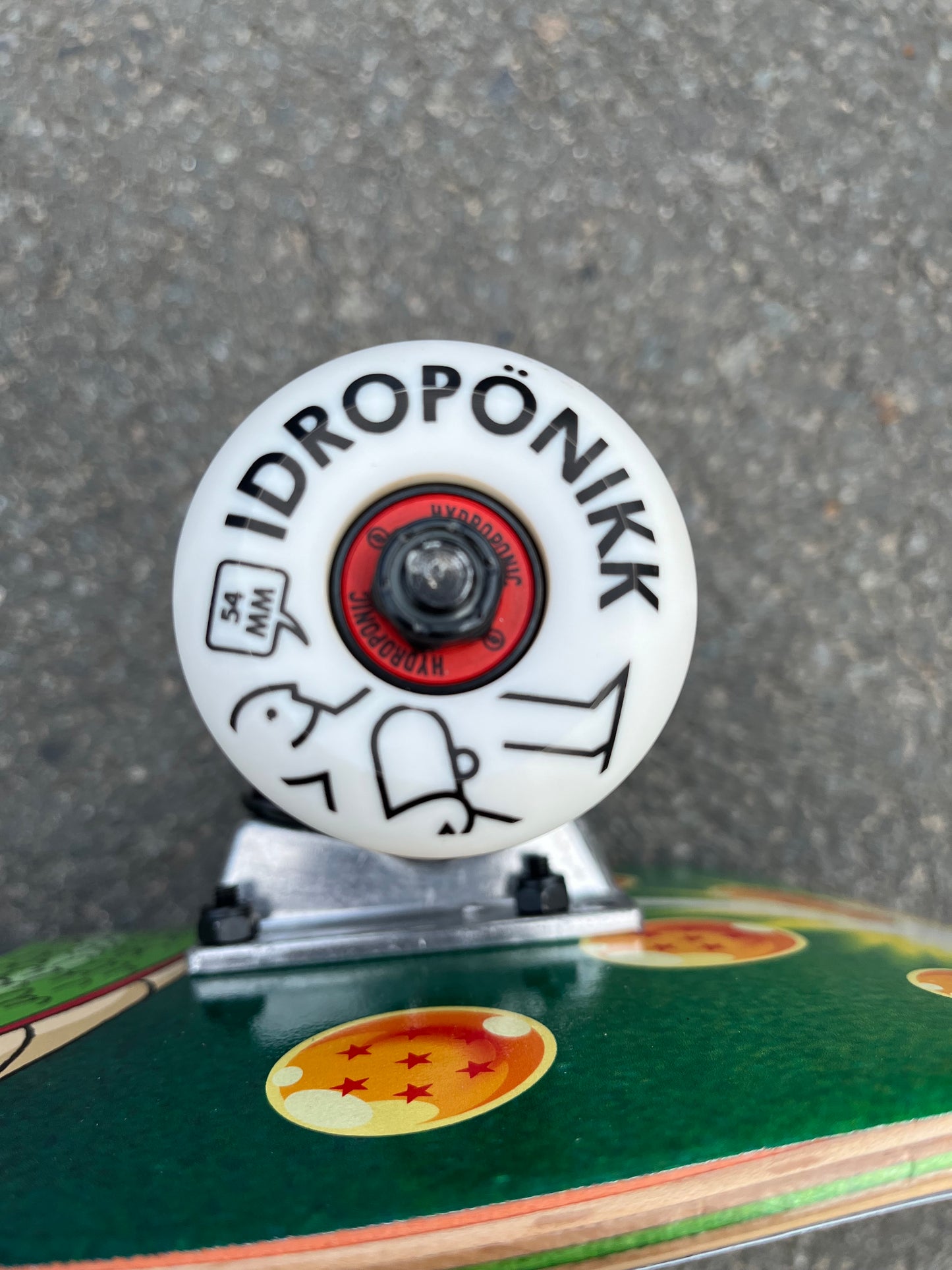 HYDROPONIC - DRAGON BALL COLLAB SHENLONG COMPLETE - 8.125