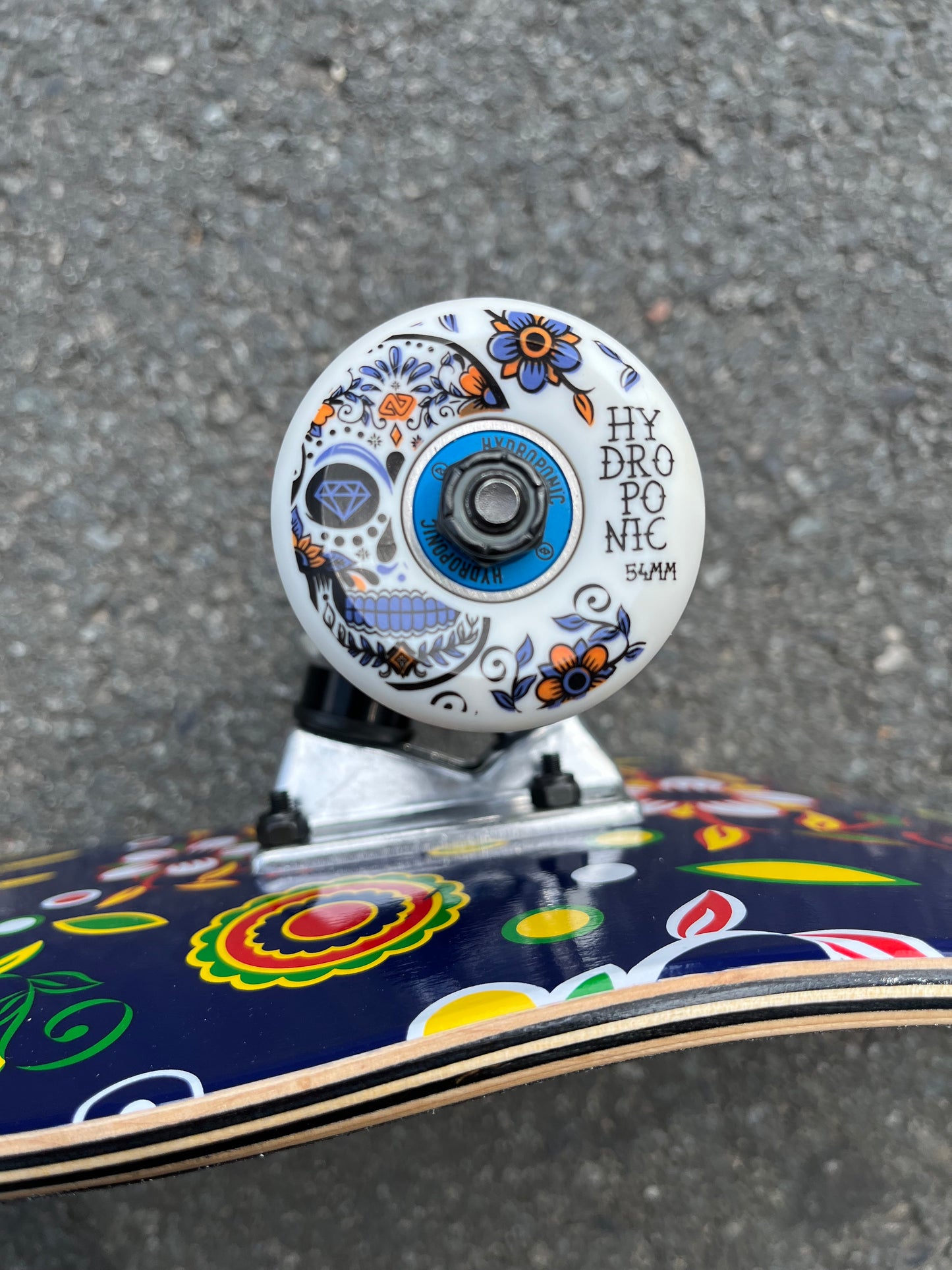 HYDROPONIC - MEXICAN SKULL COMPLETE NAVY - 8.0