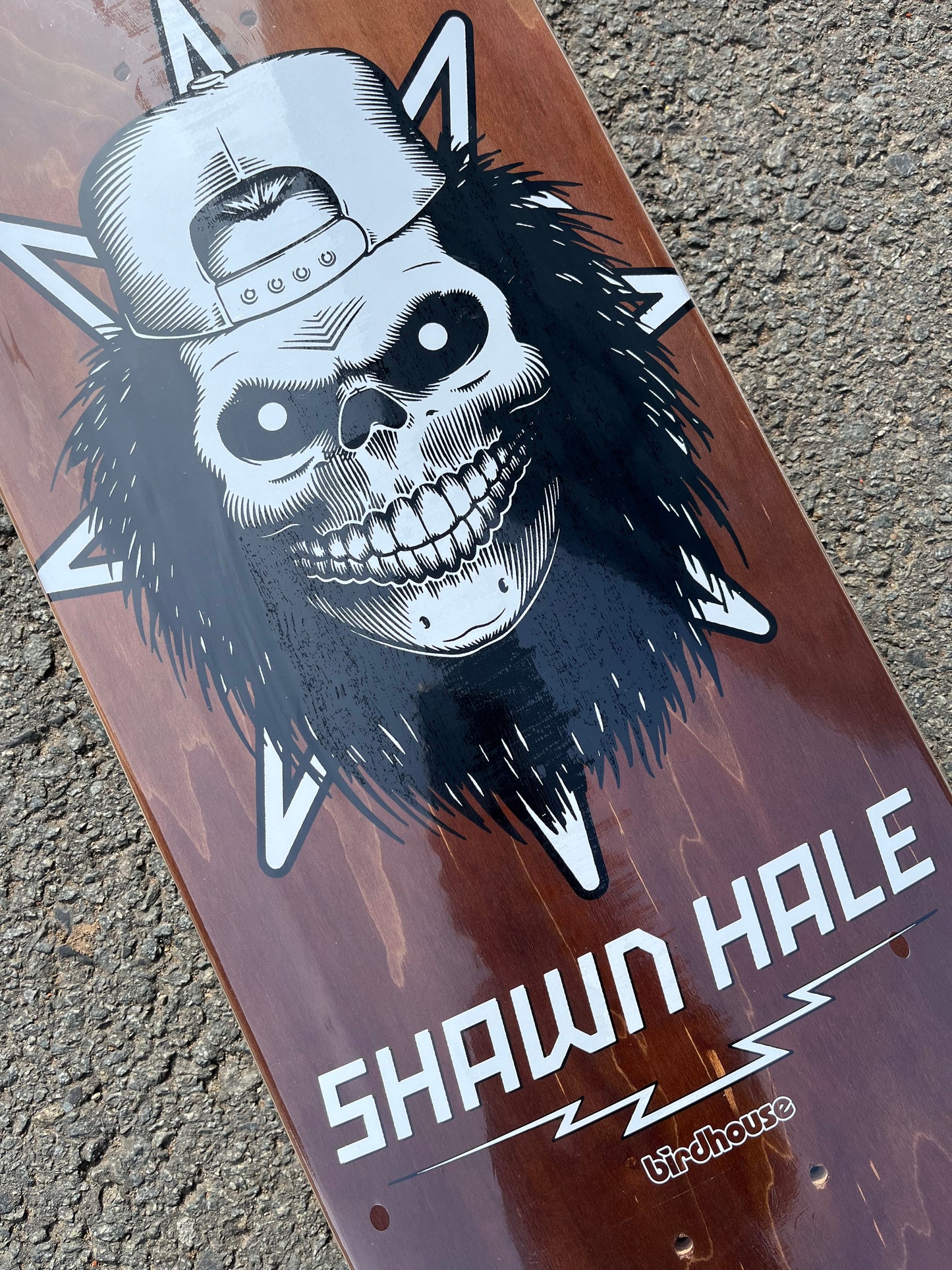 BIRDHOUSE - SHAWN HALE SKULL - BROWN - 8.5