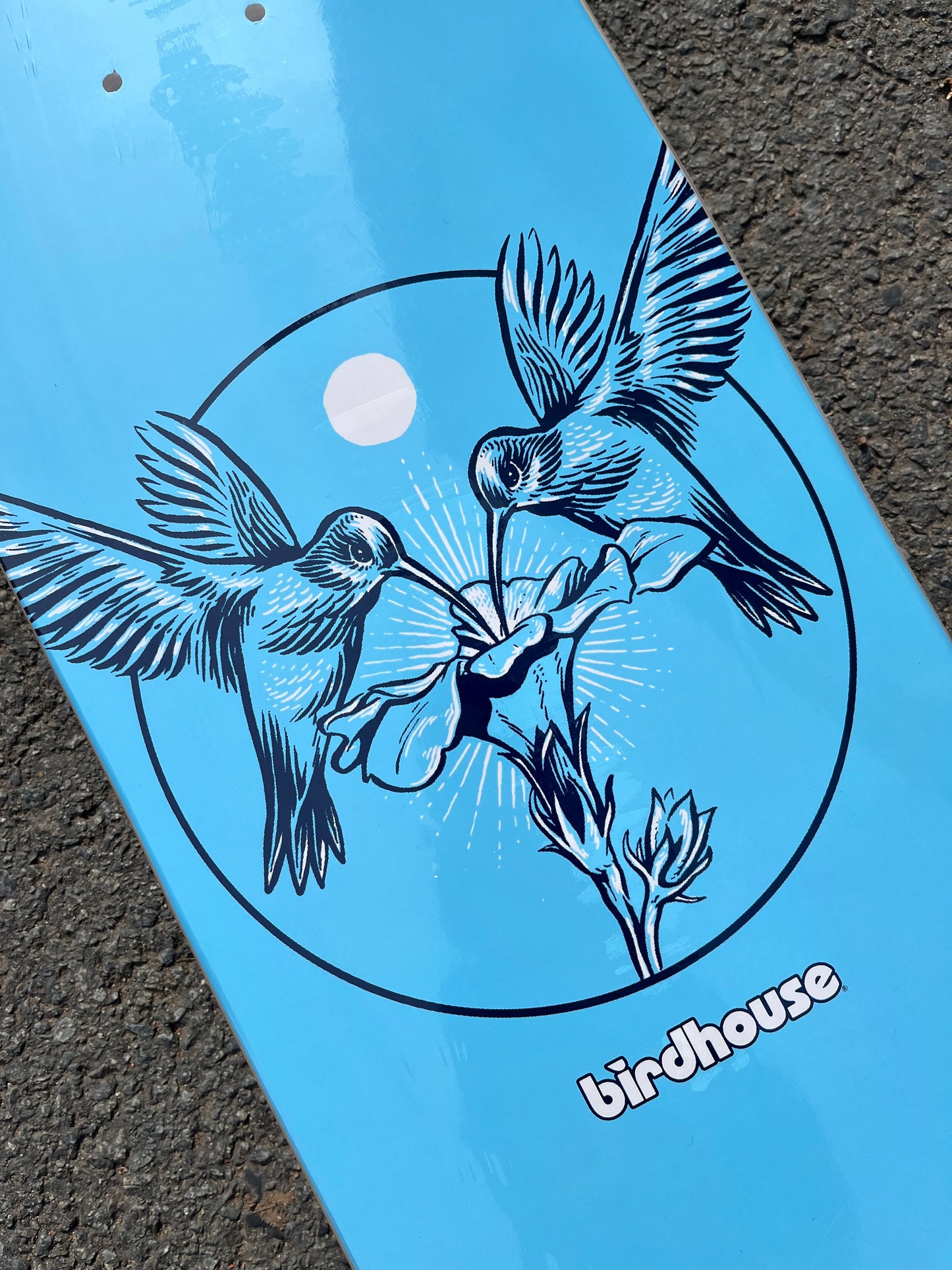 BIRDHOUSE - HUMMINGBIRD LOGO - BLUE - 8.25