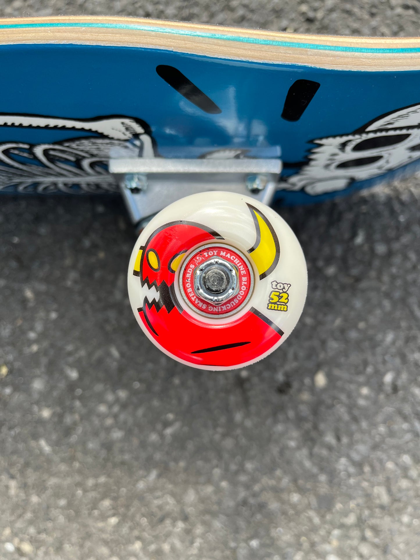 TOY MACHINE - SKELETON MONSTER COMPLETE - 8.0