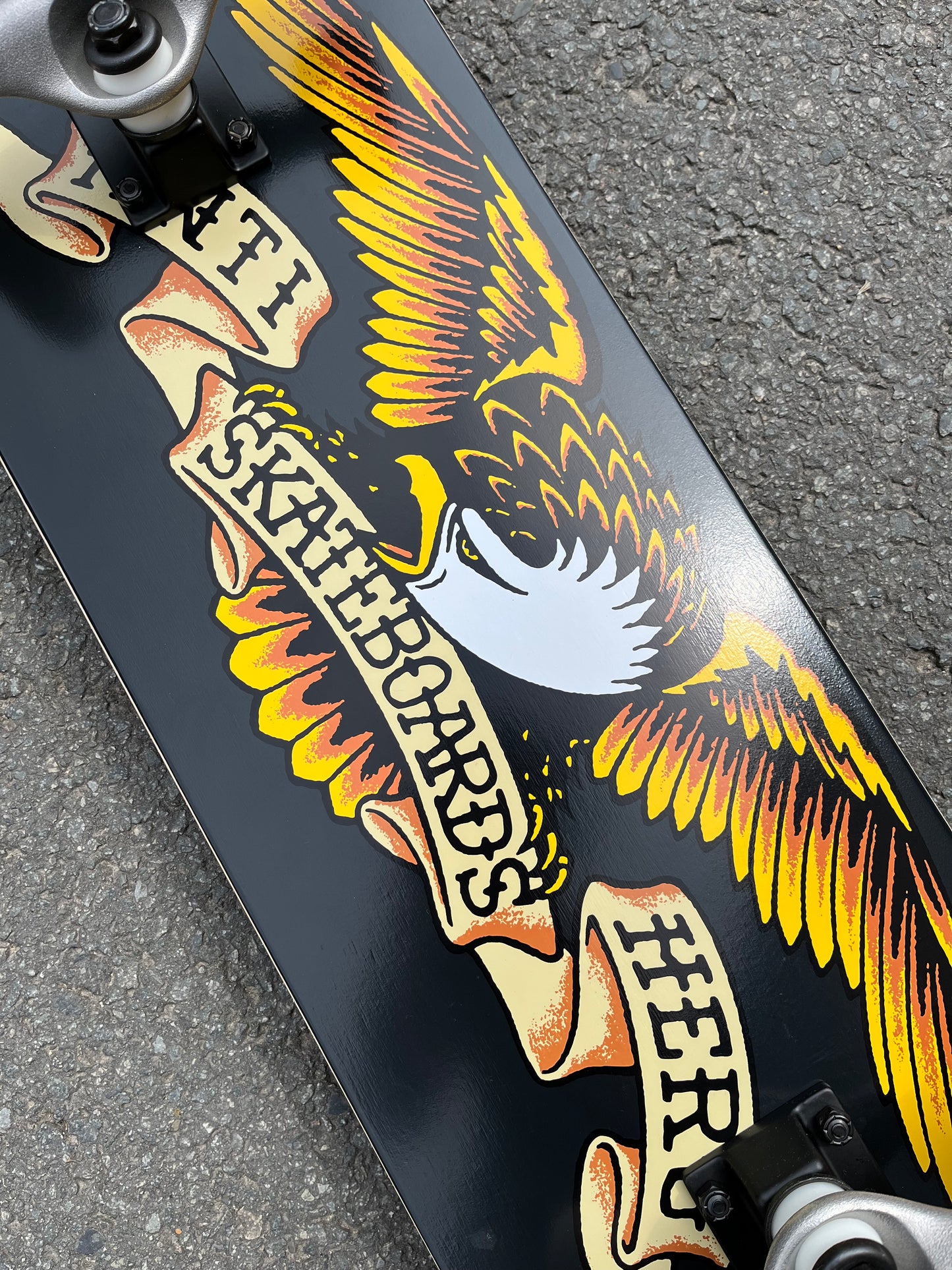 ANTI HERO - CLASSIC EAGLE COMPLETE - 8.25