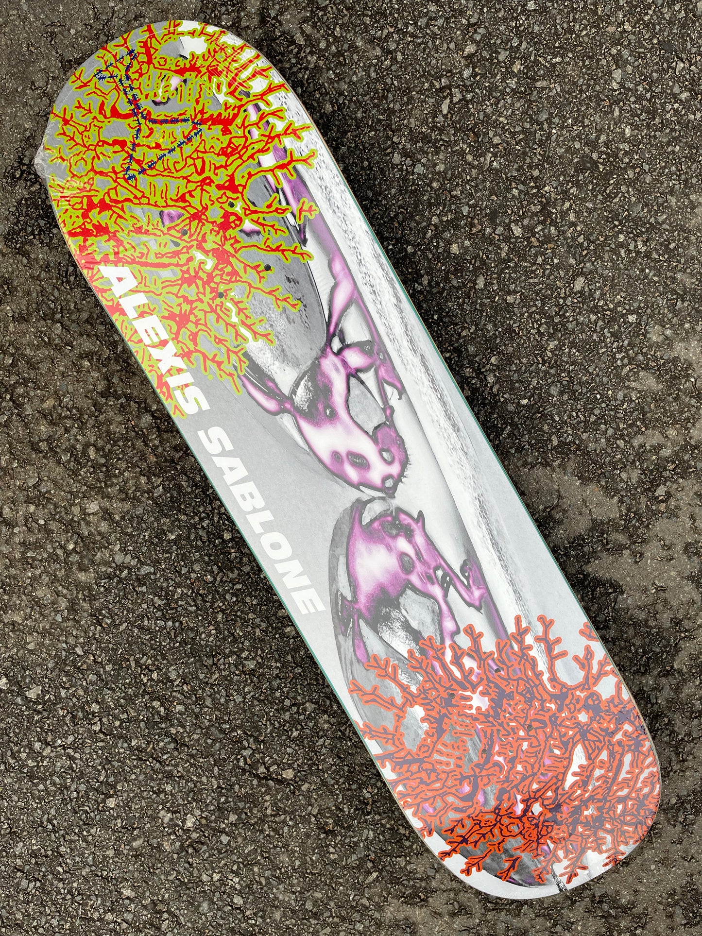 ALLTIMERS - BUG'S LIFE ALEXIS - 8.25