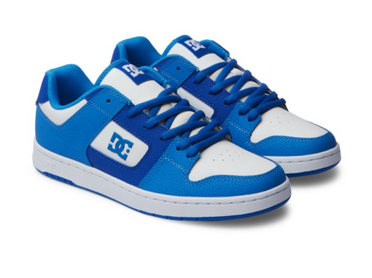 DC - MANTECA 4 - BLUE/BLUE/WHITE