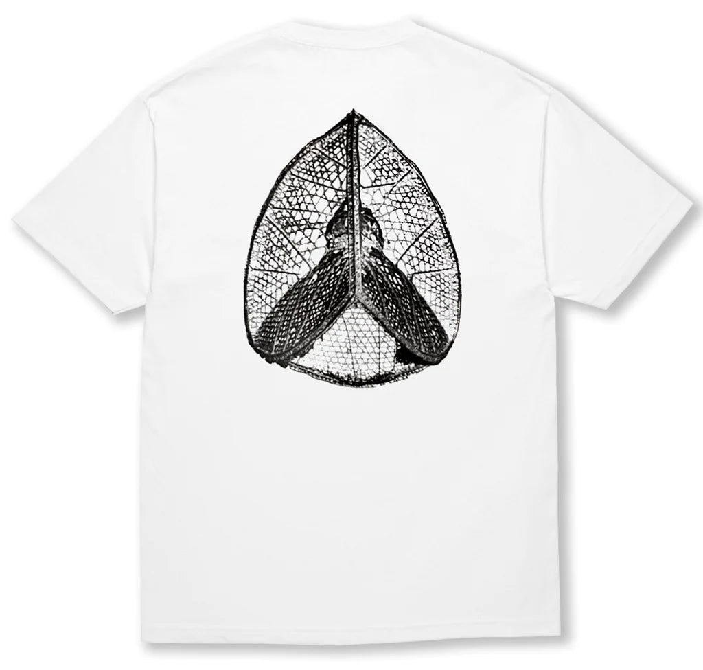 POLAR - STRUCTURAL ORDER TEE - WHITE