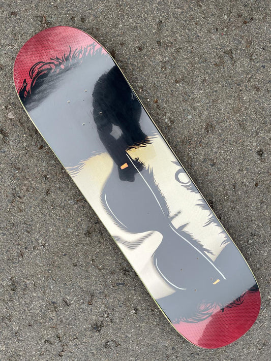 TOY MACHINE - ROMERO DYLAN - 8.25