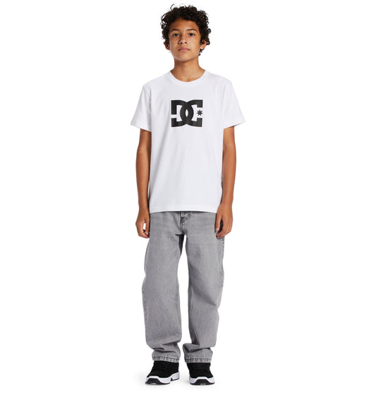 DC - WORKER BAGGY DENIM BOY - GREY WASH