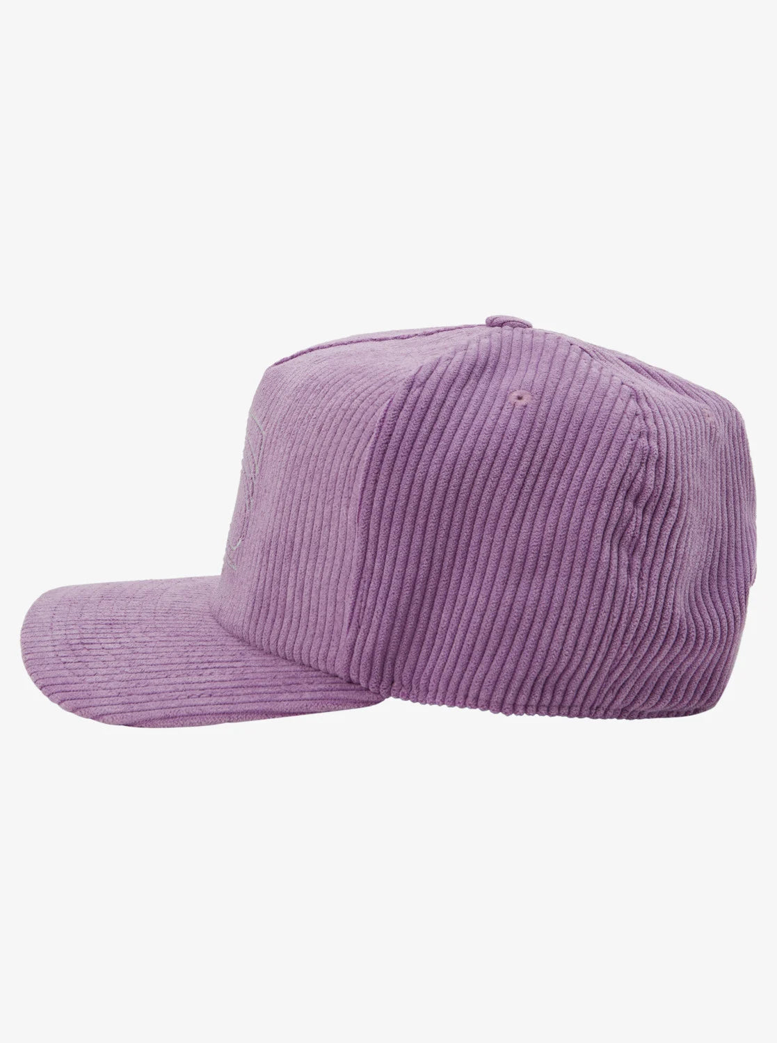 QUIKSILVER - FRITZED MCGEE BOYS SNAPBACK - LILAC