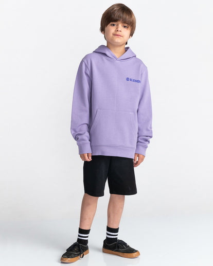 ELEMENT - BLAZIN CHEST HOOD YOUTH - DAYBREAK