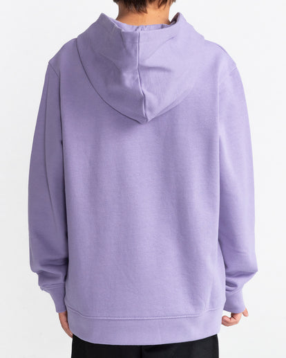 ELEMENT - BLAZIN CHEST HOOD YOUTH - DAYBREAK