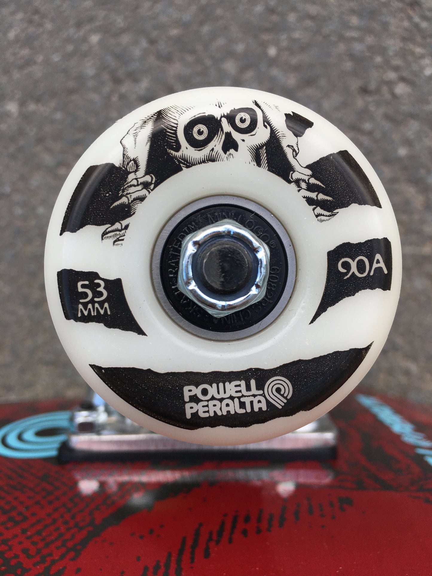 POWELL-PERALTA - ASKY SKULL & SWORD BIRCH - 7.5