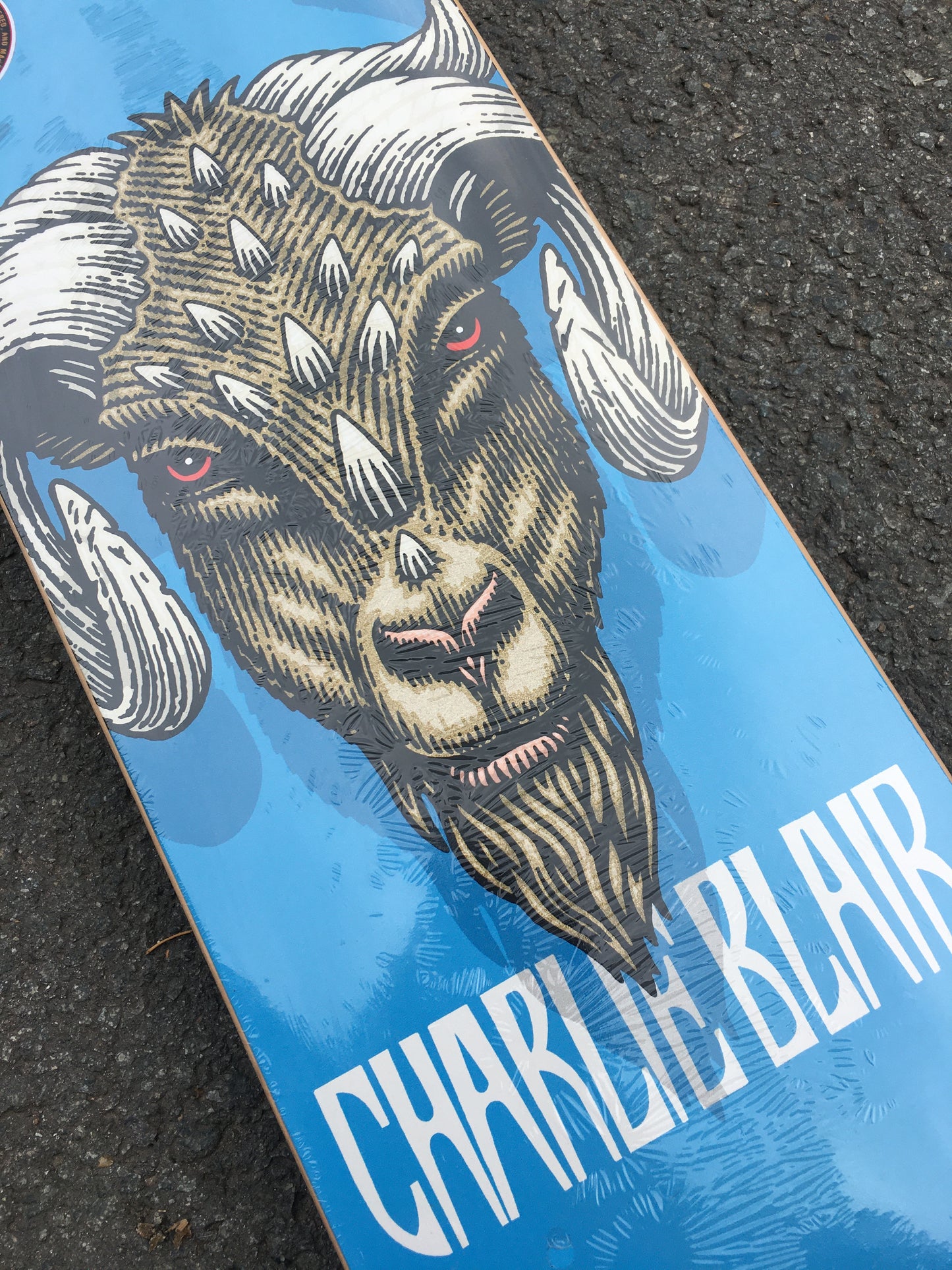 POWELL PERALTA - CHARLIE BLAIR GOAT - 8.0