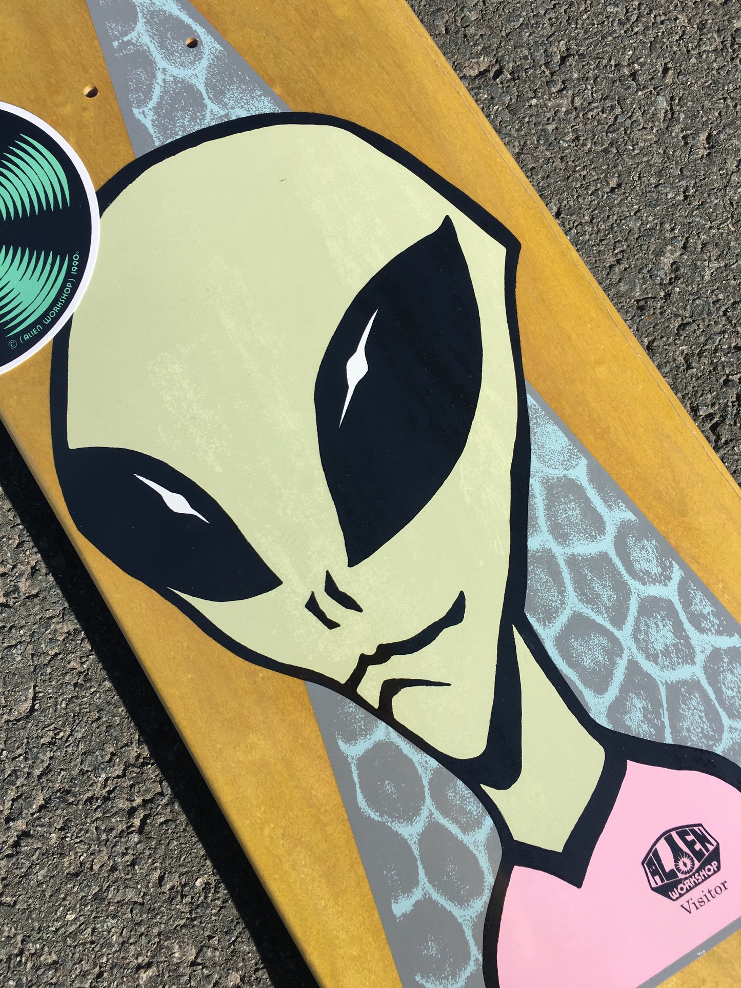 ALIEN WORKSHOP - VISITOR - 8.5