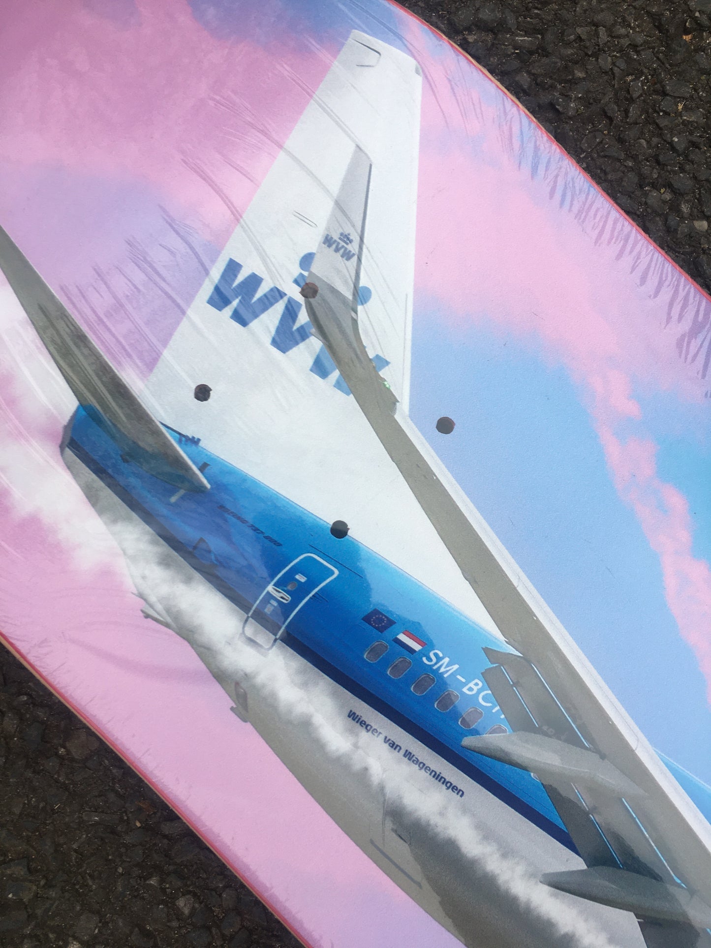 SKATE MENTAL - WIEGER VAN WAGENINGEN CHEMTRAILS - 8.38