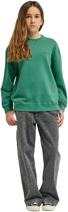 ELEMENT - LOWCASE PIGMENT YOUTH CREWNECK - FIR GREEN