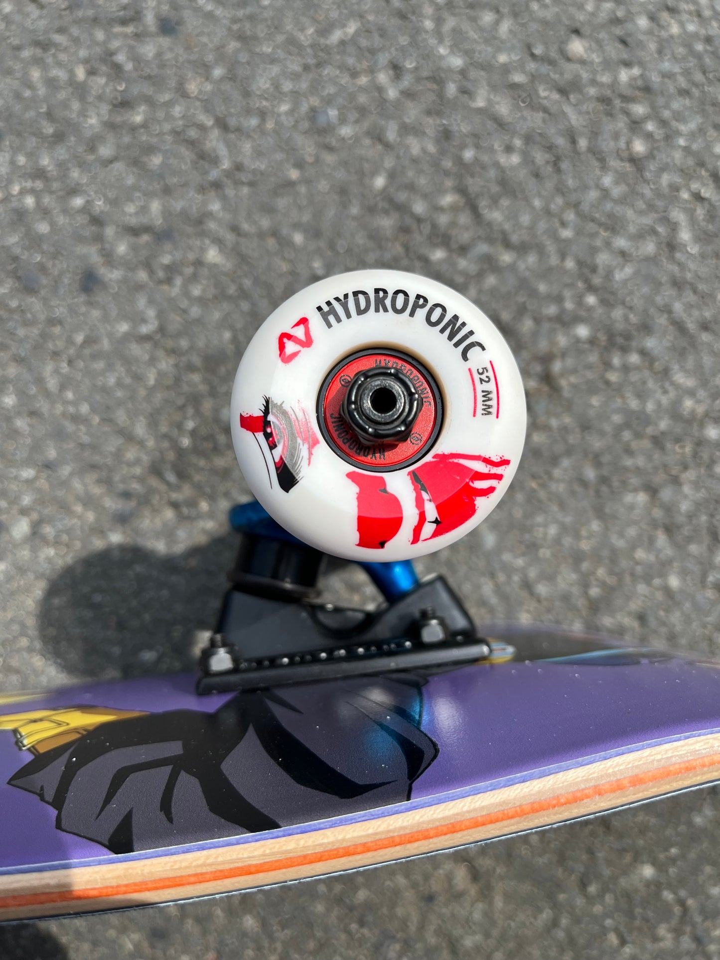 HYDROPONIC - DRAGON BALL COLLAB VEGETA & TRUNKS COMPLETE - 8.0