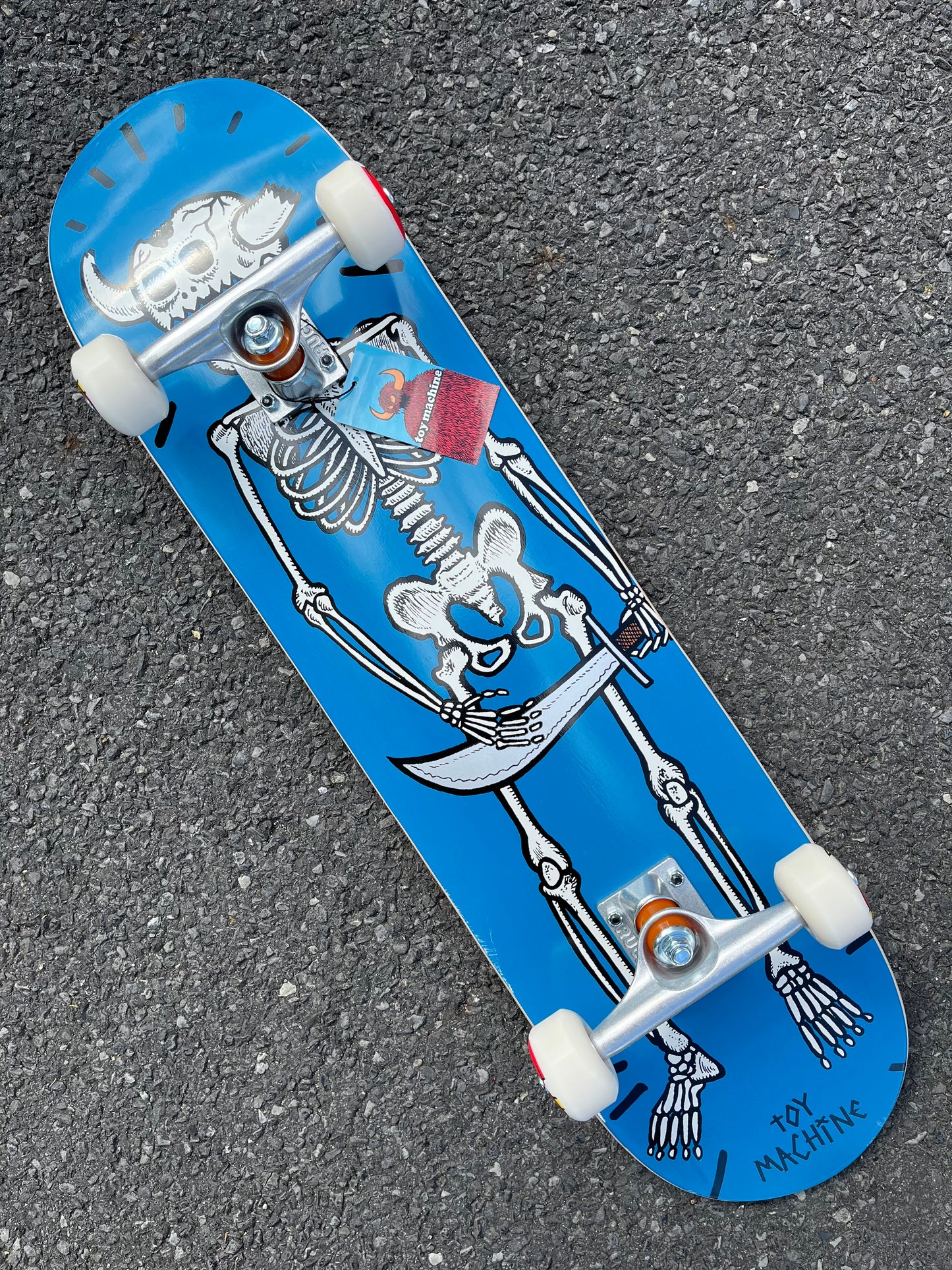 TOY MACHINE - SKELETON MONSTER COMPLETE - 8.0