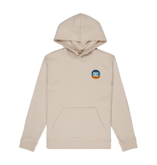 DC - SHAPE OR DESTROY YOUTH HOOD - OATMEAL