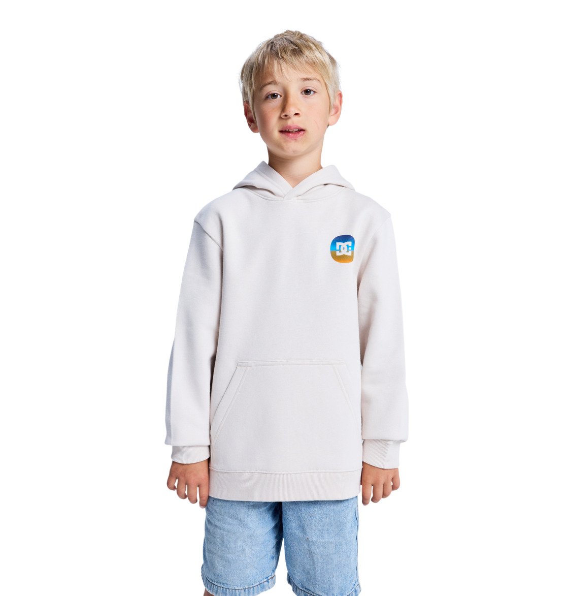 DC - SHAPE OR DESTROY YOUTH HOOD - OATMEAL